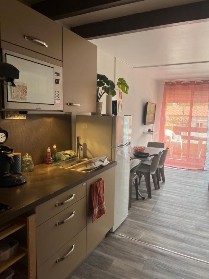 Appartement Argeles-Sur-Mer Avec Piscine A 500M De La Mer 외부 사진