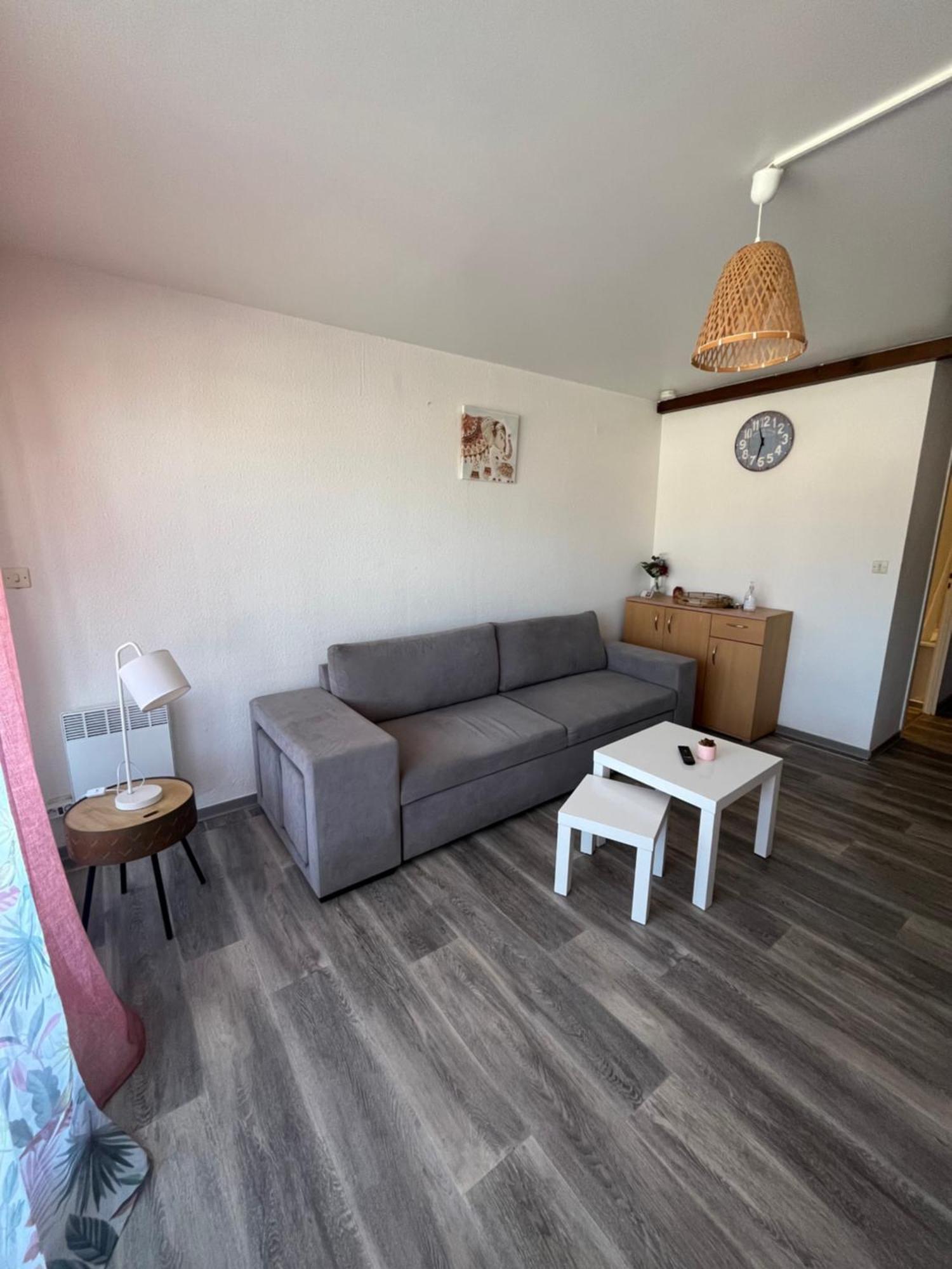 Appartement Argeles-Sur-Mer Avec Piscine A 500M De La Mer 외부 사진